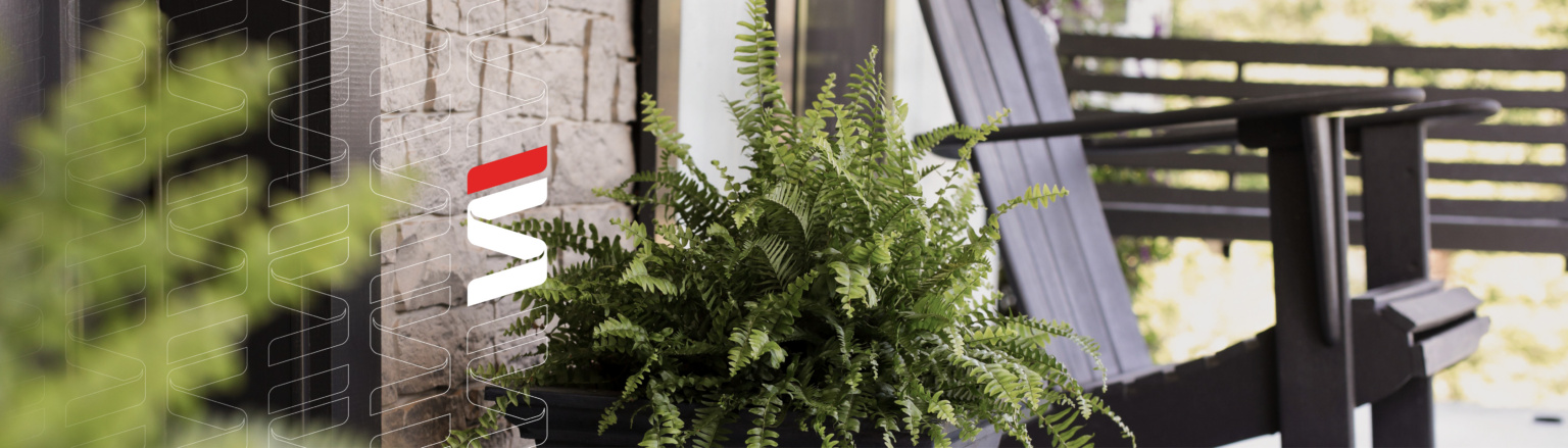 A cozy porch scene featuring a potted fern in the foreground, a stone wall to the side, and a wooden rocking chair overlooking a bright outdoor area with a blurred background of trees and a railing. Fraser Stryker logo icon repeating on the left side of the photo.